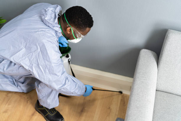 Best Pest Prevention Services  in Red Lake, AZ